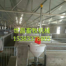 養(yǎng)豬設(shè)備廠供應(yīng)自動下料桶 生產(chǎn)廠家、價格解析與羊場應(yīng)用前景